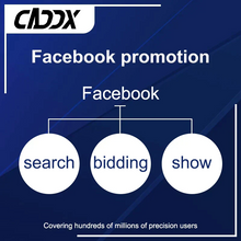 Load image into Gallery viewer, CADDX FACEBOOK ADVERTISING, SEARCH ENGINE OPTIMIZATION, SOCIAL MEDIA MARKETING AND ONLINE WEBSITE MARKETING
