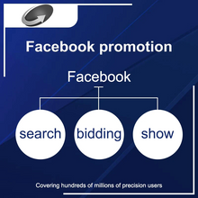 Load image into Gallery viewer, FACEBOOK ADVERTISING, SEARCH ENGINE OPTIMIZATION, SOCIAL MEDIA MARKETING AND ONLINE WEBSITE MARKETING

